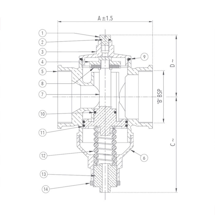 Bronze Compact Pressure Reducing Valve (Screwed) Design