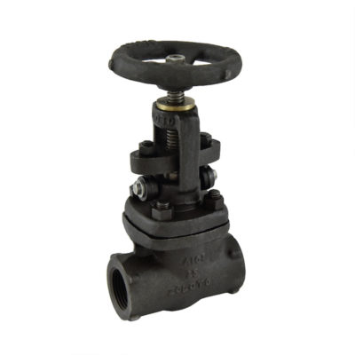 1074 Forged Steel Globe Valve, Class-800 (Standard Bore)